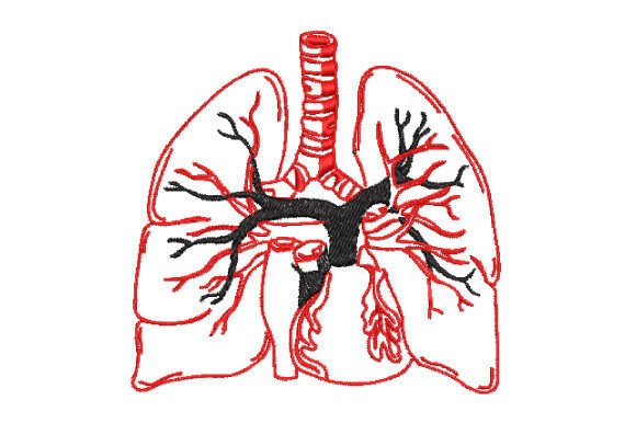 Halloween Lung Anatomy